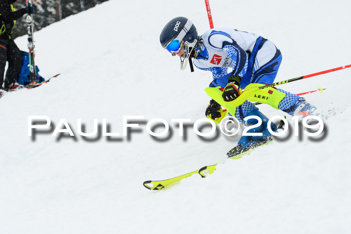 3. BZB Cup SL 13.01.2019, U'gau