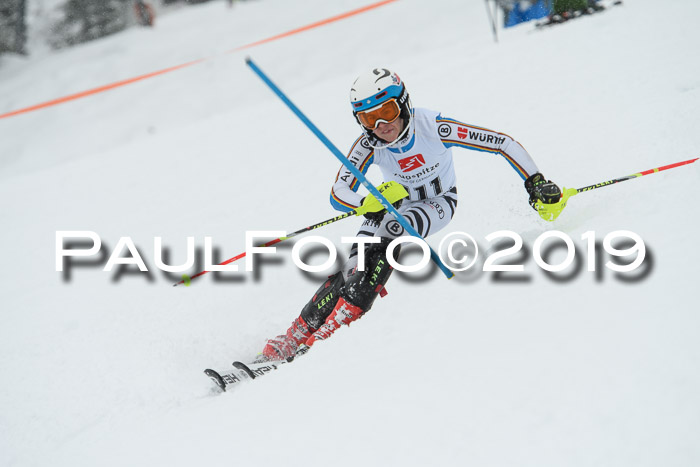 3. BZB Cup SL 13.01.2019, U'gau