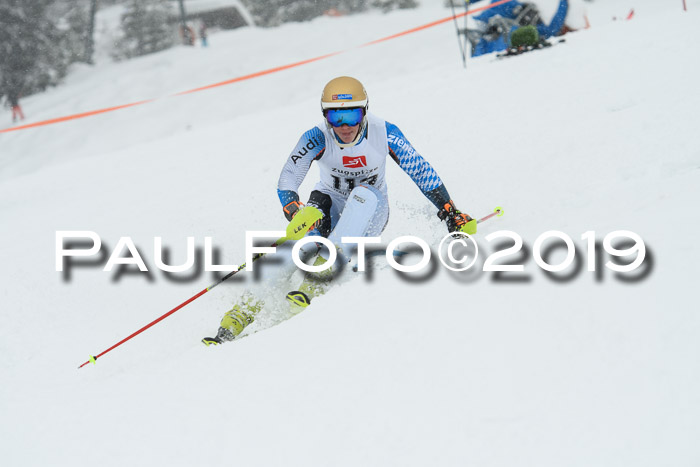 3. BZB Cup SL 13.01.2019, U'gau