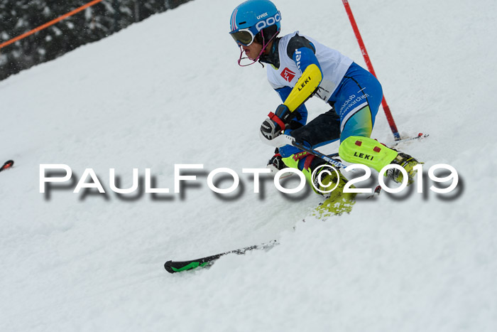 3. BZB Cup SL 13.01.2019, U'gau