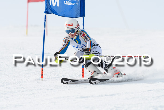 SVM U8, U10, U12, SechzgerPokal 2019