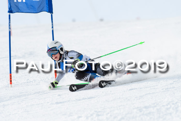 SVM U8, U10, U12, SechzgerPokal 2019