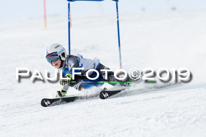 SVM U8, U10, U12, SechzgerPokal 2019