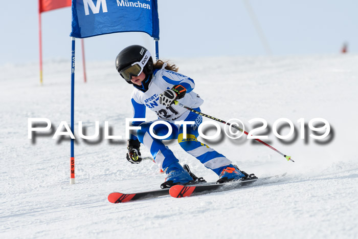 SVM U8, U10, U12, SechzgerPokal 2019