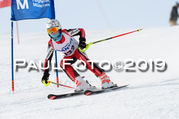 SVM U8, U10, U12, SechzgerPokal 2019