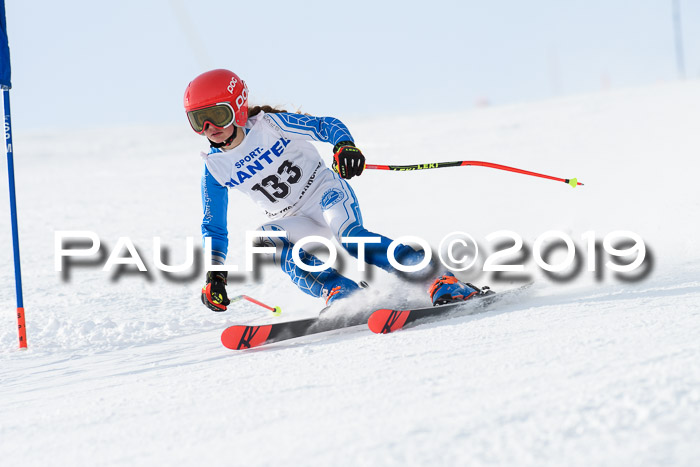 SVM U8, U10, U12, SechzgerPokal 2019