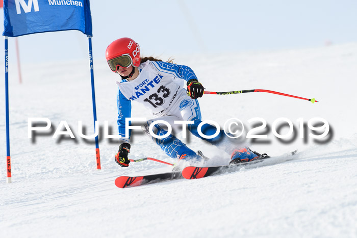 SVM U8, U10, U12, SechzgerPokal 2019