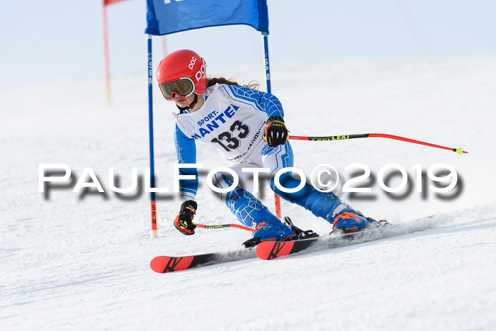 SVM U8, U10, U12, SechzgerPokal 2019