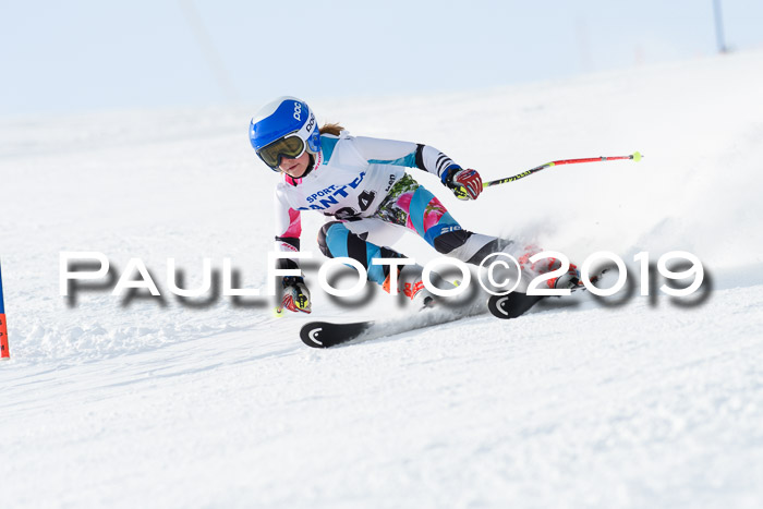 SVM U8, U10, U12, SechzgerPokal 2019