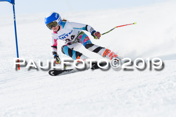 SVM U8, U10, U12, SechzgerPokal 2019