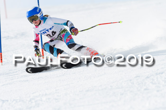SVM U8, U10, U12, SechzgerPokal 2019