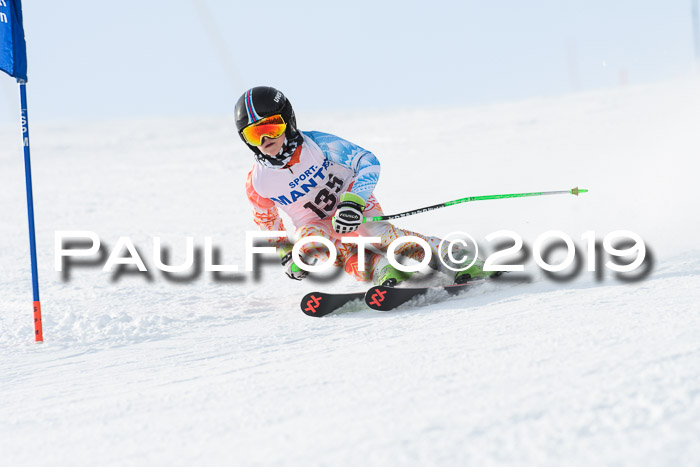 SVM U8, U10, U12, SechzgerPokal 2019