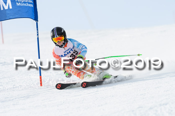 SVM U8, U10, U12, SechzgerPokal 2019