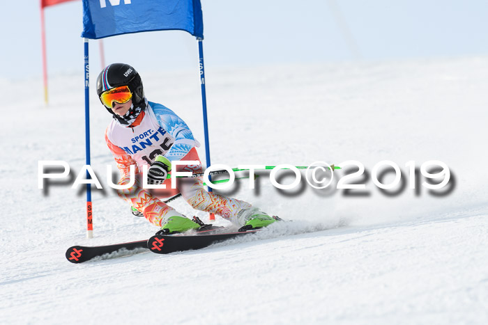 SVM U8, U10, U12, SechzgerPokal 2019