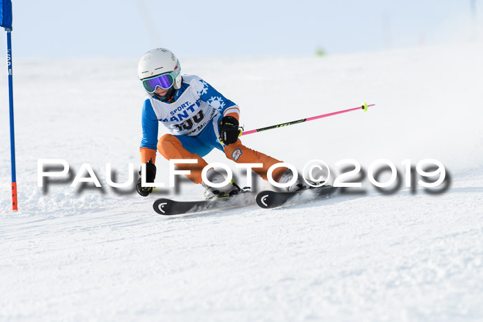 SVM U8, U10, U12, SechzgerPokal 2019