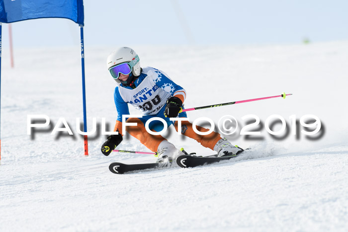 SVM U8, U10, U12, SechzgerPokal 2019