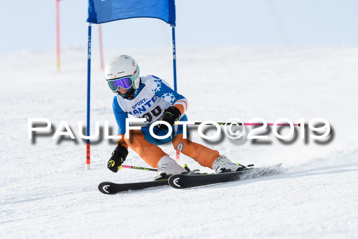 SVM U8, U10, U12, SechzgerPokal 2019