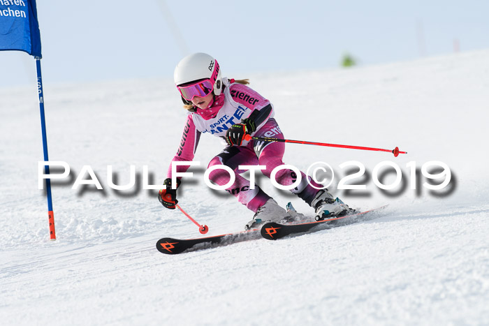 SVM U8, U10, U12, SechzgerPokal 2019