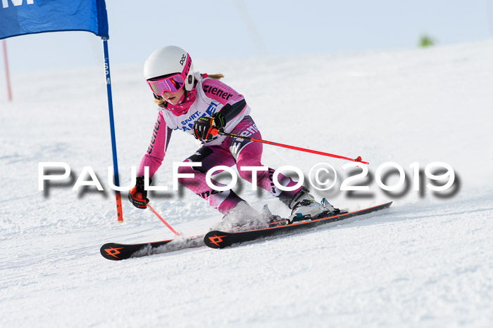 SVM U8, U10, U12, SechzgerPokal 2019
