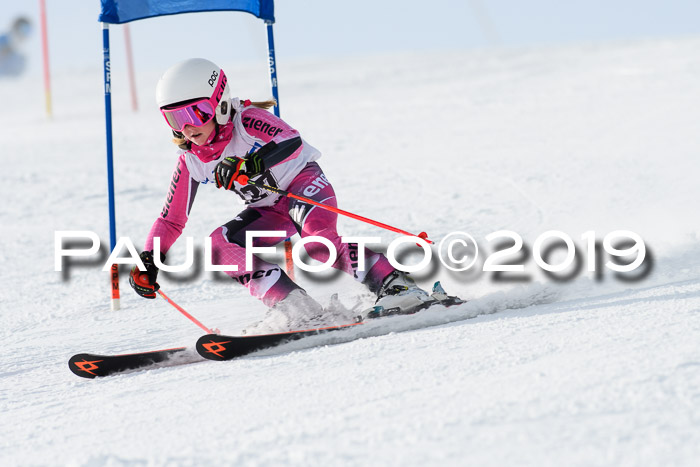 SVM U8, U10, U12, SechzgerPokal 2019