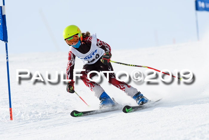 SVM U8, U10, U12, SechzgerPokal 2019