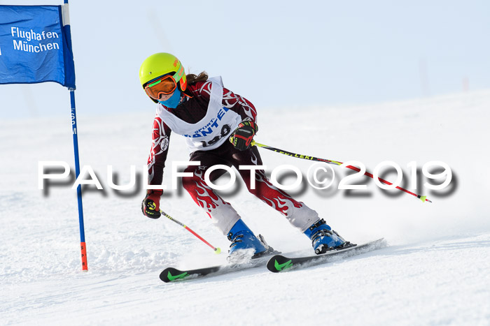 SVM U8, U10, U12, SechzgerPokal 2019