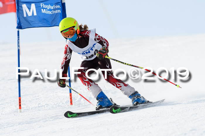 SVM U8, U10, U12, SechzgerPokal 2019
