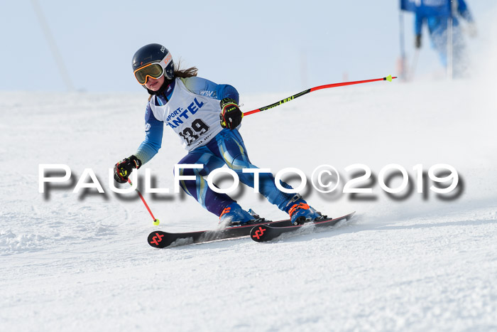 SVM U8, U10, U12, SechzgerPokal 2019