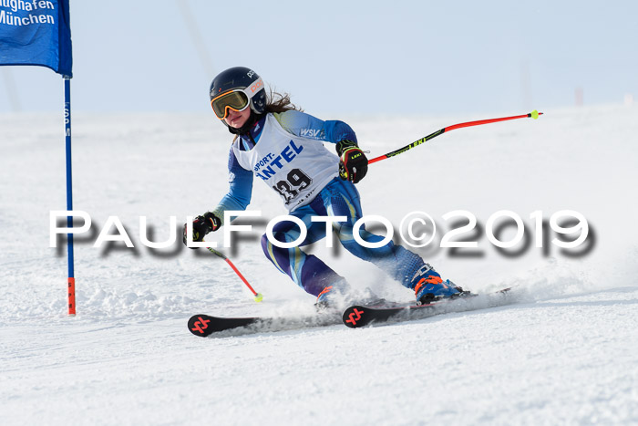 SVM U8, U10, U12, SechzgerPokal 2019