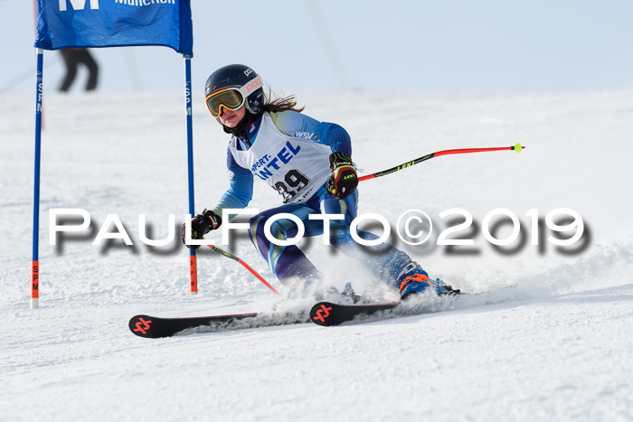 SVM U8, U10, U12, SechzgerPokal 2019