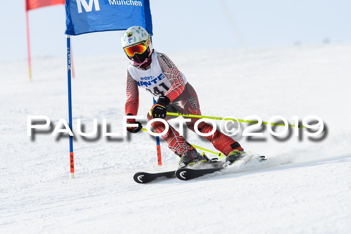 SVM U8, U10, U12, SechzgerPokal 2019