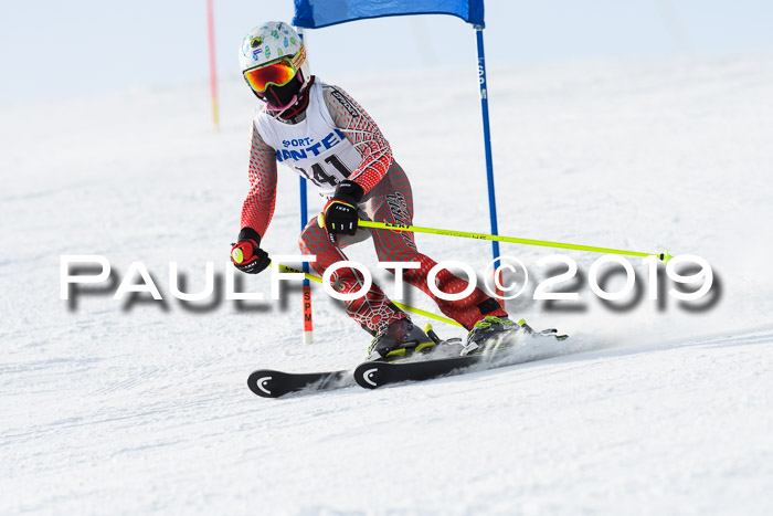 SVM U8, U10, U12, SechzgerPokal 2019