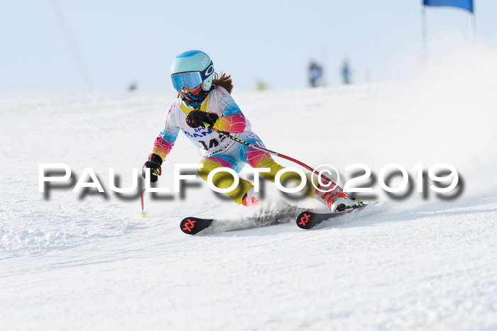 SVM U8, U10, U12, SechzgerPokal 2019