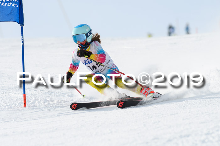 SVM U8, U10, U12, SechzgerPokal 2019