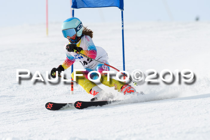 SVM U8, U10, U12, SechzgerPokal 2019