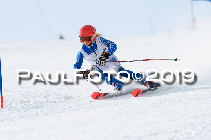 SVM U8, U10, U12, SechzgerPokal 2019