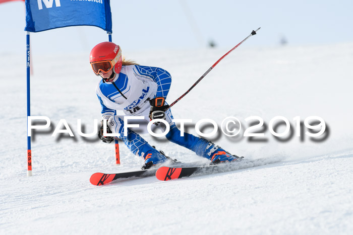 SVM U8, U10, U12, SechzgerPokal 2019