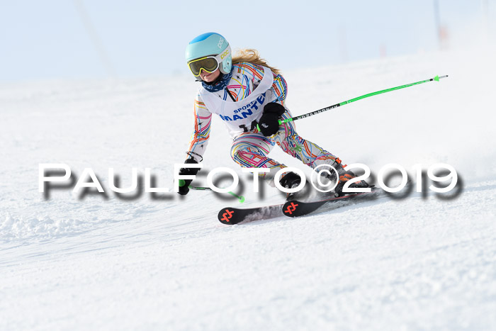 SVM U8, U10, U12, SechzgerPokal 2019