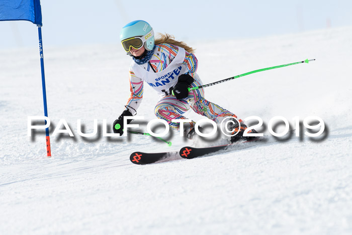 SVM U8, U10, U12, SechzgerPokal 2019
