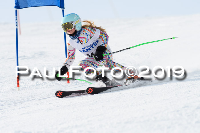 SVM U8, U10, U12, SechzgerPokal 2019