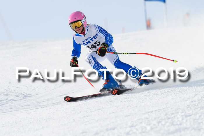 SVM U8, U10, U12, SechzgerPokal 2019
