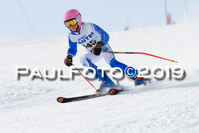SVM U8, U10, U12, SechzgerPokal 2019