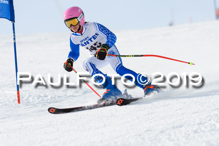 SVM U8, U10, U12, SechzgerPokal 2019