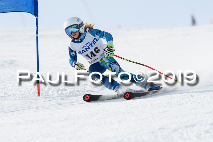 SVM U8, U10, U12, SechzgerPokal 2019