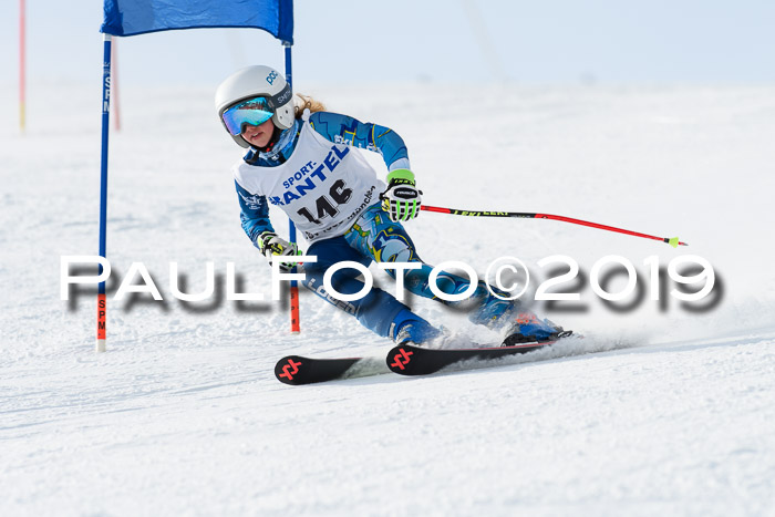 SVM U8, U10, U12, SechzgerPokal 2019