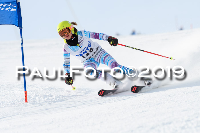 SVM U8, U10, U12, SechzgerPokal 2019