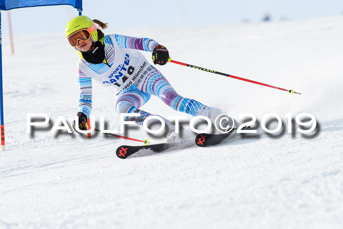 SVM U8, U10, U12, SechzgerPokal 2019