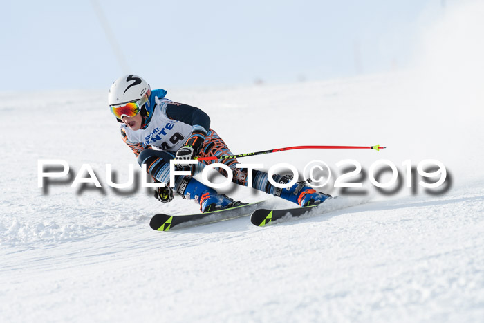 SVM U8, U10, U12, SechzgerPokal 2019
