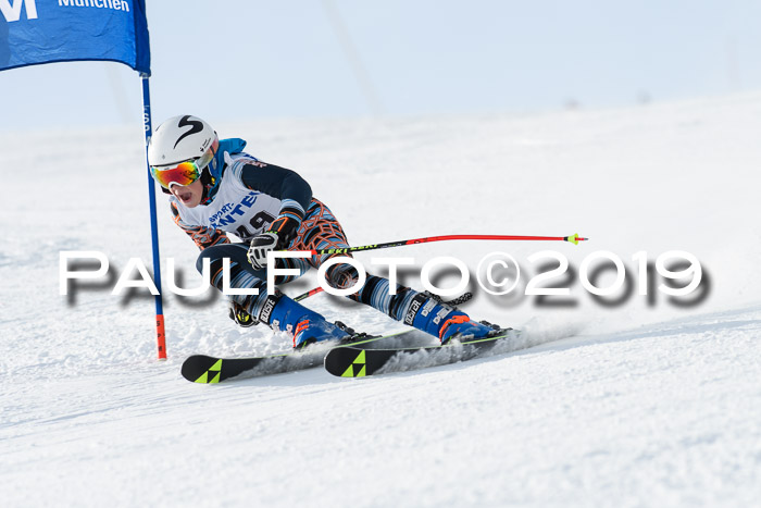 SVM U8, U10, U12, SechzgerPokal 2019