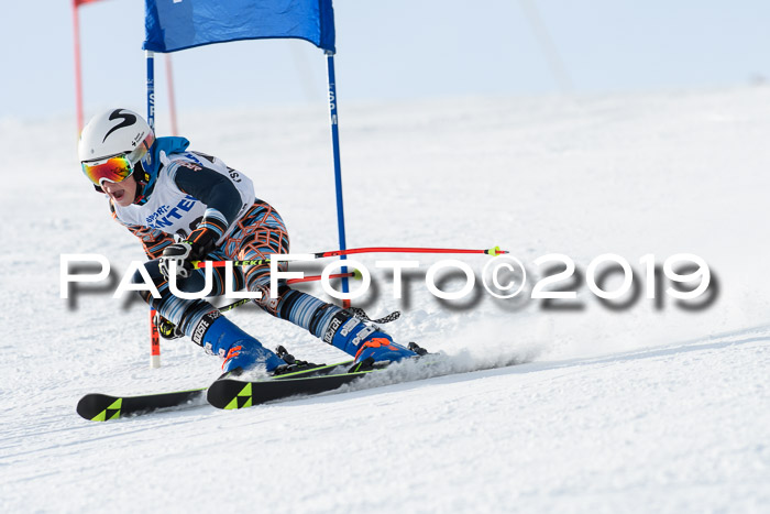 SVM U8, U10, U12, SechzgerPokal 2019